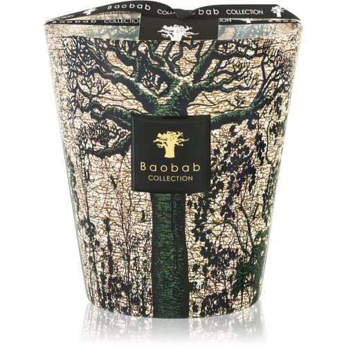 Baobab Collection Sacred Trees Kani dišeča sveča 16 cm Cene