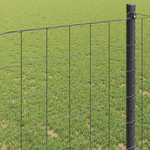 Euro ograda 0,6 x 25 m Željezo prekriveno PVC-om Siva Slike