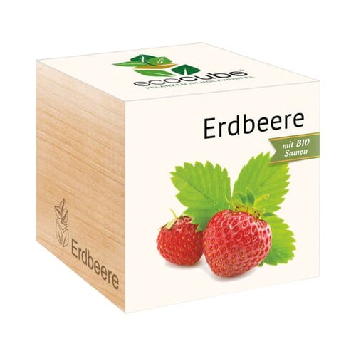 Feel Green ecocube "Jagoda" Cene