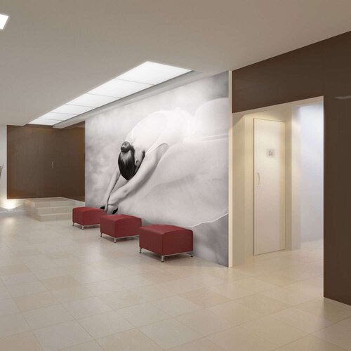  Tapeta - photo: ballerina 350x270 Slike