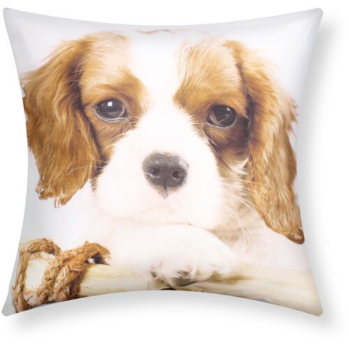 AVIZAR Komplet 2 prevlek za blazine 40x40 cm King Charles Dog Design, Bela, (21747257) Cene