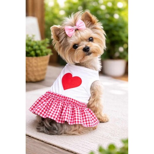 Paws &amp; Whiskers Haljina za pse crvena Cene
