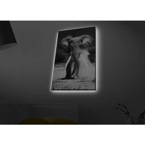 Opviq slika na platnu sa LED osvetljenjem 45x70cm Cene