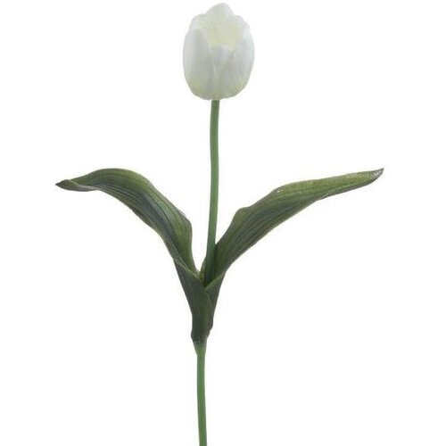  TULIPAN BIJELI 46CM Cijene