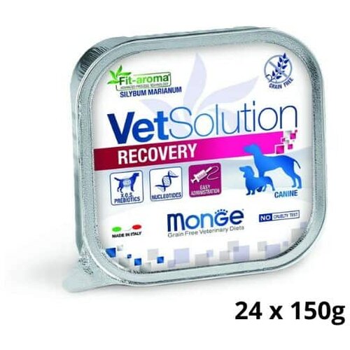 Monge vetsolution Dog Recovery Wet Cene