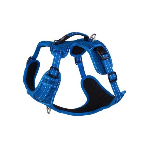 Rogz explore fanbelt am za pse l, plavi Cene