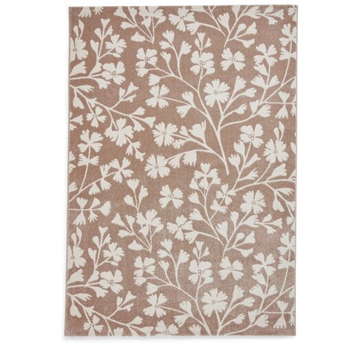 Catherine Lansfield Svetlo rjava preproga 120x170 cm Grace Floral – Cene