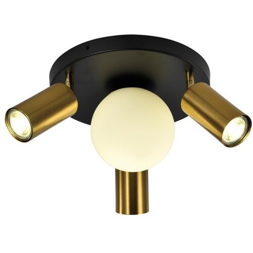  spot lampa FG155-4 bk+sg Cene