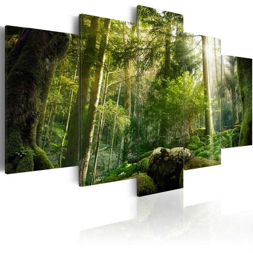 Slika - The Beauty of the Forest 200x100 Slike