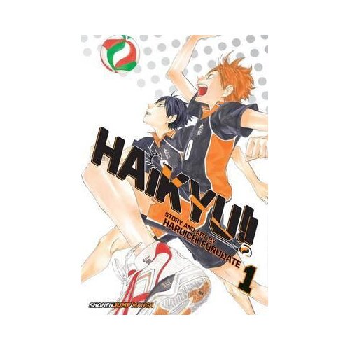 VIZ Media Haikyu!!, Vol. 1 Cene