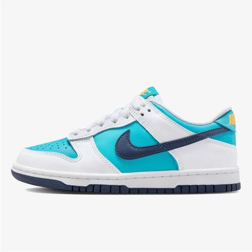 Nike patike za dečake  dunk low bg na5 HF4794-345 Cene
