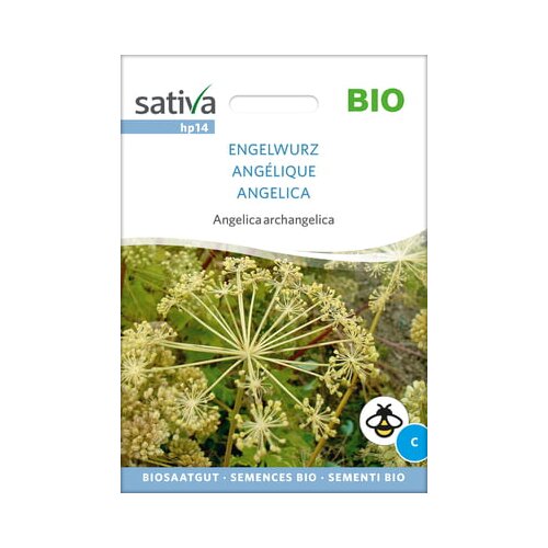 Sativa Bio angelika Slike