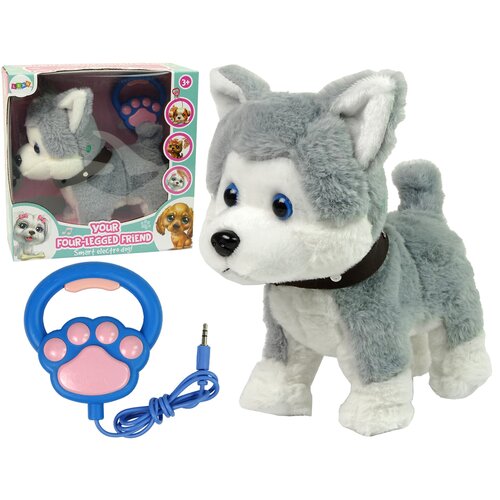 Lean_Toys Pli&amp;scaron;asti Husky Dog Interaktivne izobraževalne pesmi na povodcu Sprehodi Slike