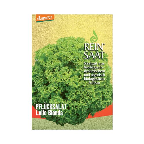 ReinSaat Solata za nabiranje "Lollo Bionda" Cene