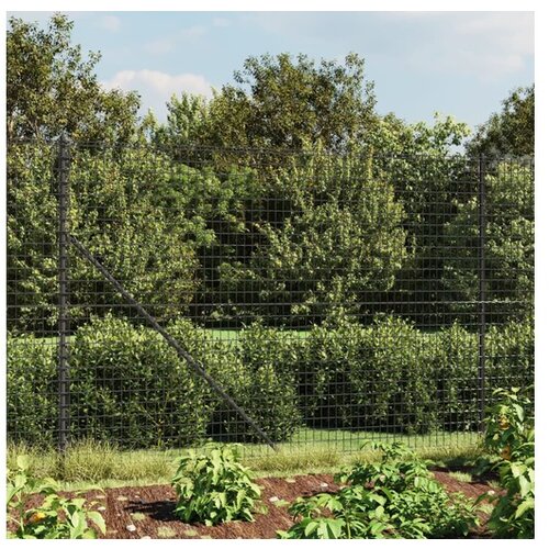 vidaXL Mrezna ograja s prirobnico antracit 2x25 m Cene