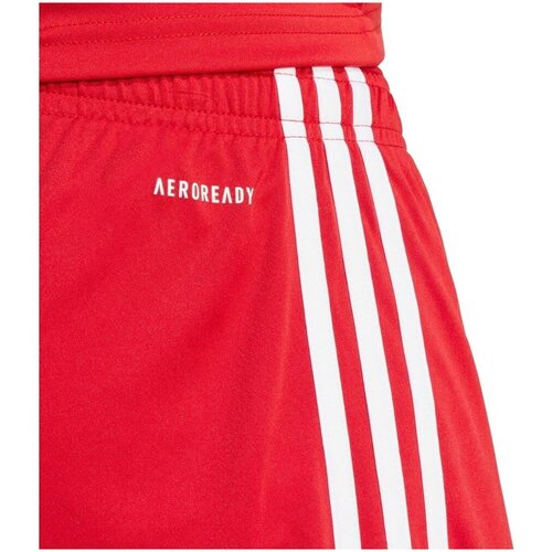 Adidas Kratke hlače &amp;amp; Bermuda Squa25 Sho M Rdeča Slike
