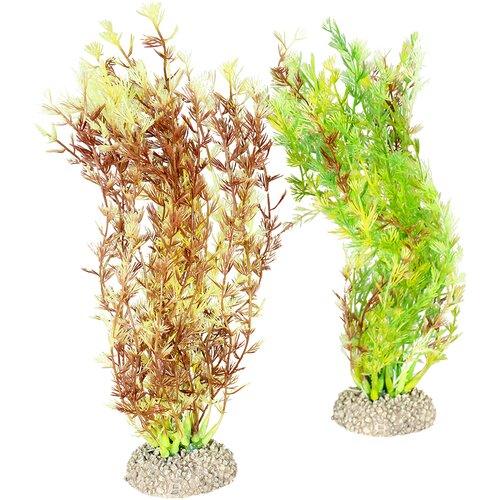Duvo Egeria Densa Biljke za akvarijum, M, 25cm Cene