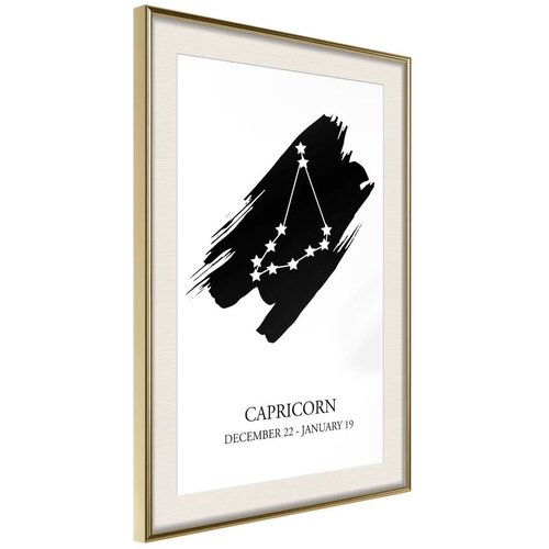 Poster - Zodiac: Capricorn I 40x60 Slike