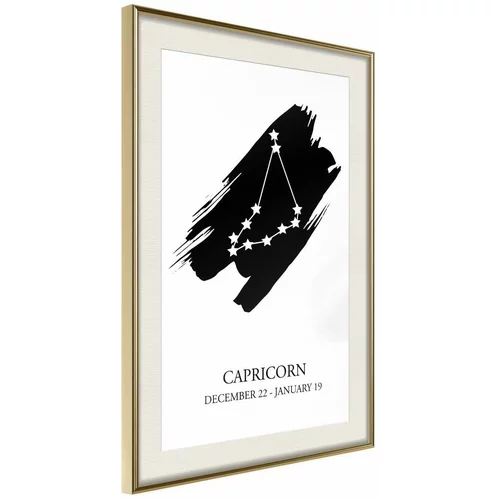  Poster - Zodiac: Capricorn I 40x60