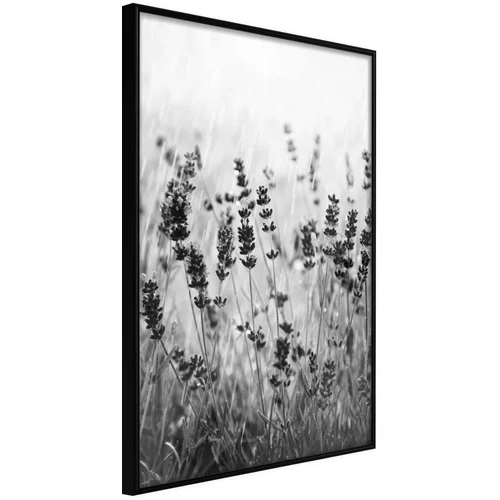  Poster - Shadow of Meadow 20x30