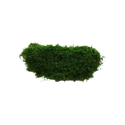  Dekorativna ravna mahovina, 2.5kg Slike