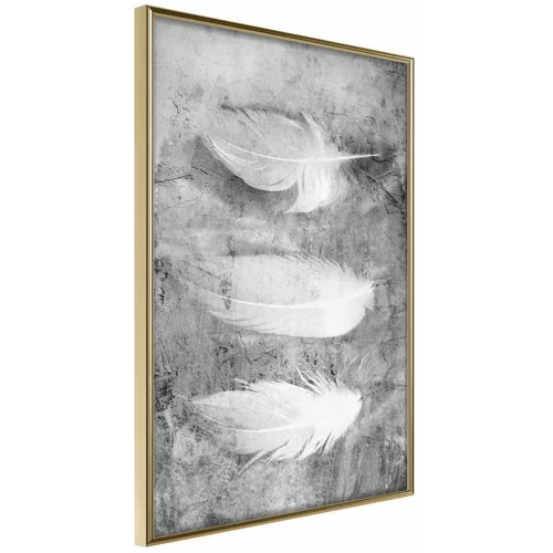  Poster - Delicate Feathers 20x30