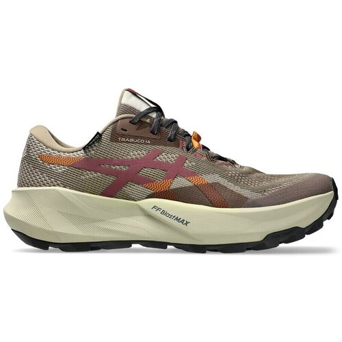 Asics Nizke superge Trabuco 14 GTX pisana Cene
