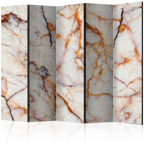  Paravan u 5 dijelova - Marble Plate II [Room Dividers] 225x172 Cene