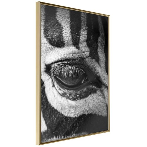  Poster - Zebra Is Watching You 30x45 Cijene