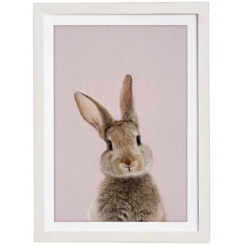 Querido Bestiario Stenska slika v okvirju Baby Rabbit, 30 x 40 cm