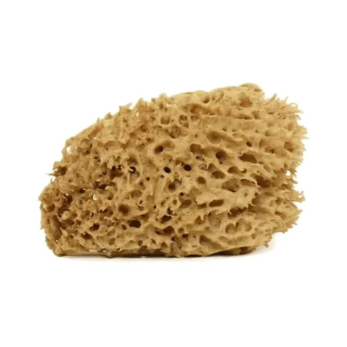 Cose della Natura honeycomb-naravna spužva - medium, 8-10 g