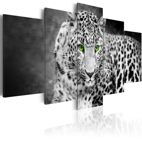  Slika - Leopard - black&amp;amp;amp white 200x100 Slike