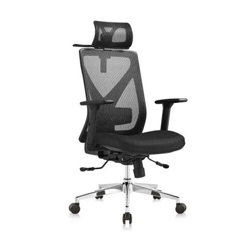Ergo office plus - Radna anatomska stolica V2 - Crna 683961 Cene