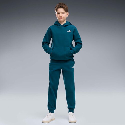 Puma Flis Ess 2 Color Small No. 1 Logo Hoodie Fl B pisana Cene