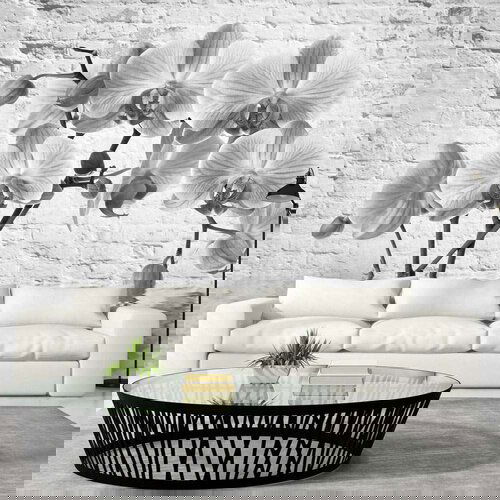  Tapeta - Orchid in Shades of Gray 400x280 Cijene