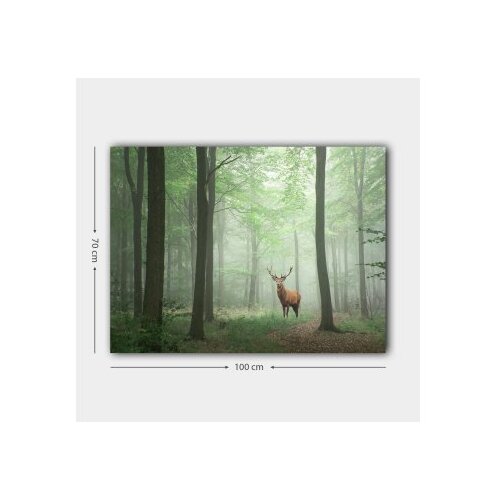 Wallity slika 1060377443_70100, 70x100cm Slike