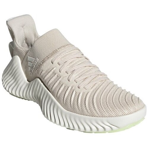 Adidas Nizke superge Alphabounce Trainer Bež Cene