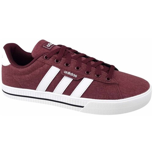Adidas Nizke superge Daily 30 pisana Cene