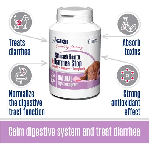 GIGI stomach health&diarrhea stop for large dogs za zdravlje stomaka 80 tableta Cene