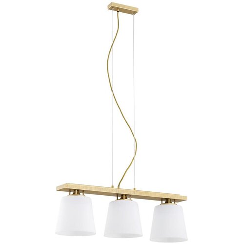  Argon 6250 - Luster na sajli ARDEN 3xE27/15W/230V zlatna Cene