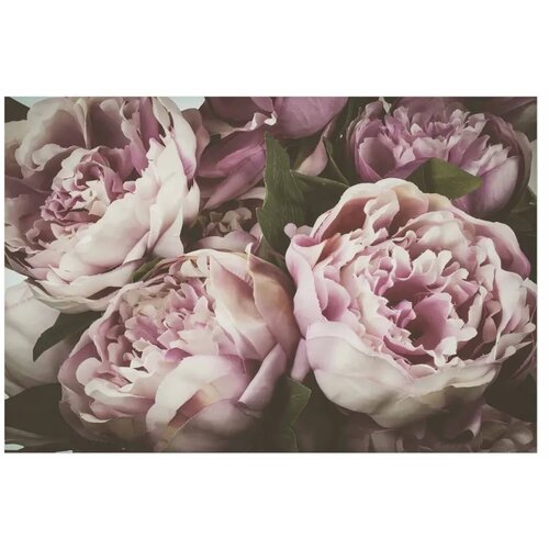  Plakat Pink Peonies 60x40 Cijene