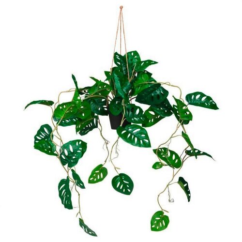 MID.YOU Umetna Rastlina Monstera Climb Slike