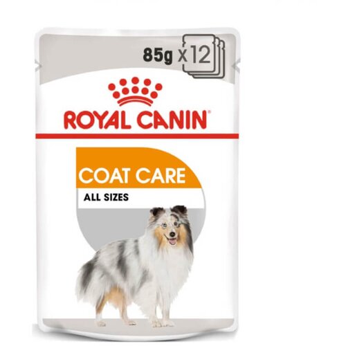 Royal_Canin Adult Coat Care - pašteta 85 g Cene