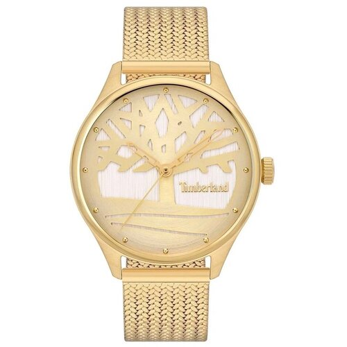 Timberland Analogne ure TBLTDWLG2200302 pisana Slike