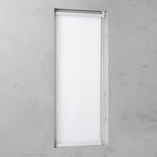 x rolo Basic (Š V: 100 175 cm, Bijele boje, Propusno za danje svjetlo)