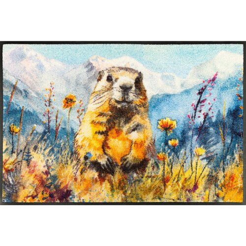 wash+dry PREDPRAŽNIK Leander 50/75 cm potiskano večbarvno Cene