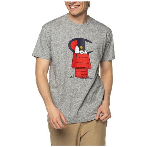 Champion X Peanuts Siva Cijene