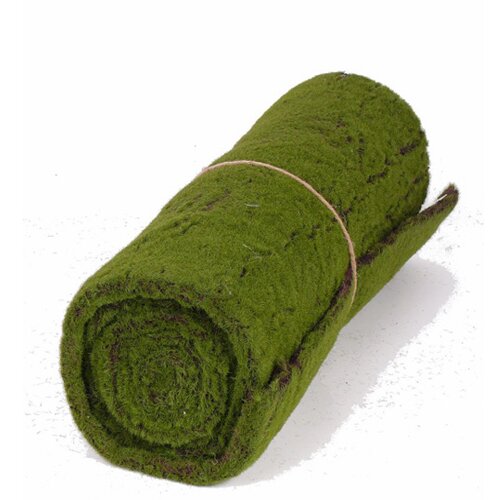  Dekorativna podloga od mahovine Moss, 205x50cm, Zelena Slike