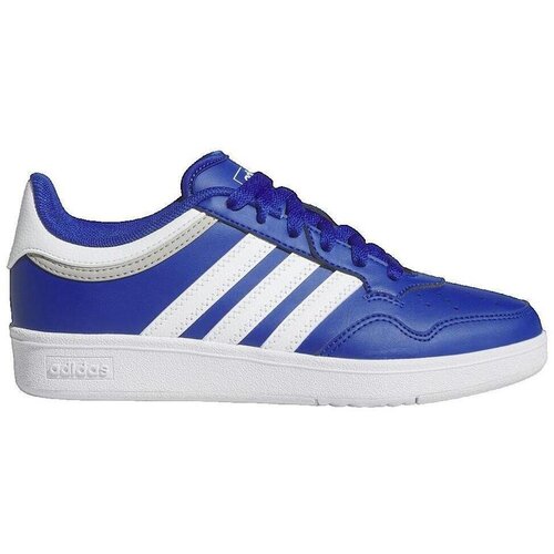 Adidas Nizke superge Chaussures Hoops 4.0 Bleu Modra Cene