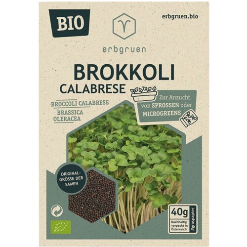  Brokoli - BIO semena za mikrozelenje/kalčke - 1 pkt. Cene